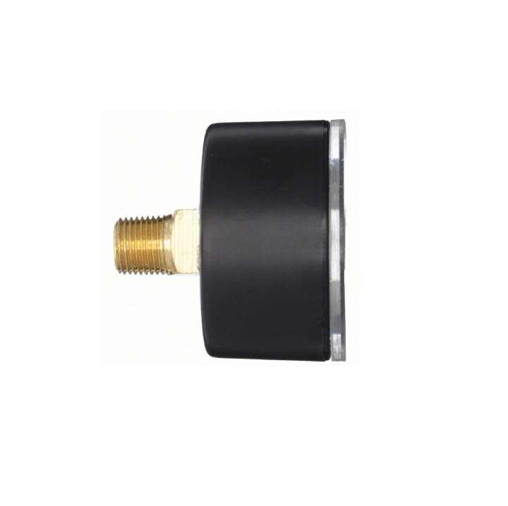Pressure Gauge Back Mount: 1/4" NI